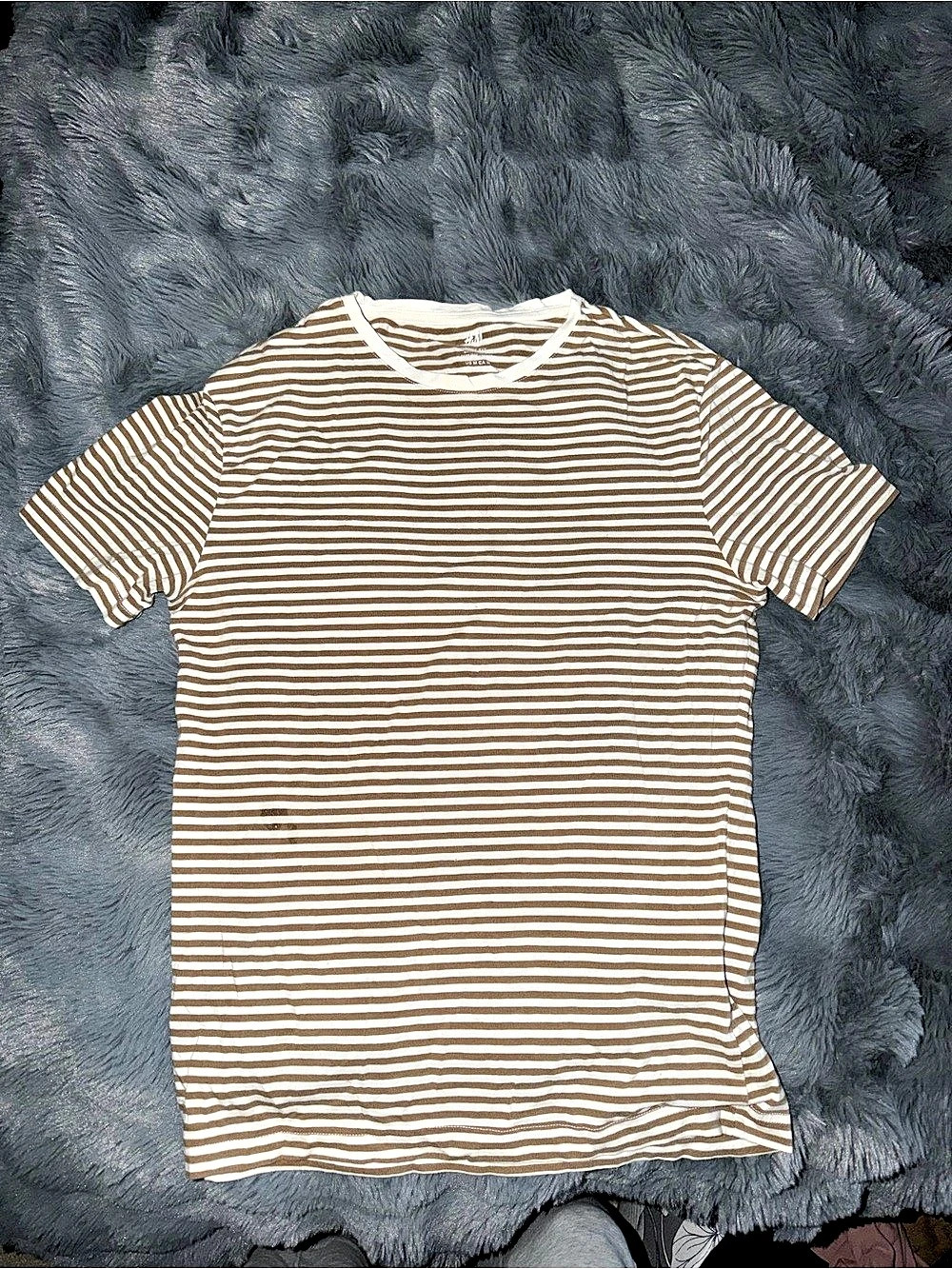 H&M Striped Short Sleeve Tee in Brown & White